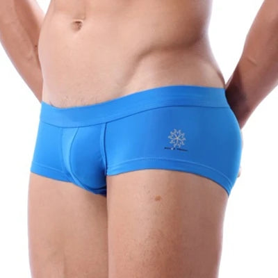 BRAVE PERSON Men's Low-Waist Nylon Boxer Shorts Underwear 4 Color Boxer Briefs High-Quality Comfortable Men's Trunks